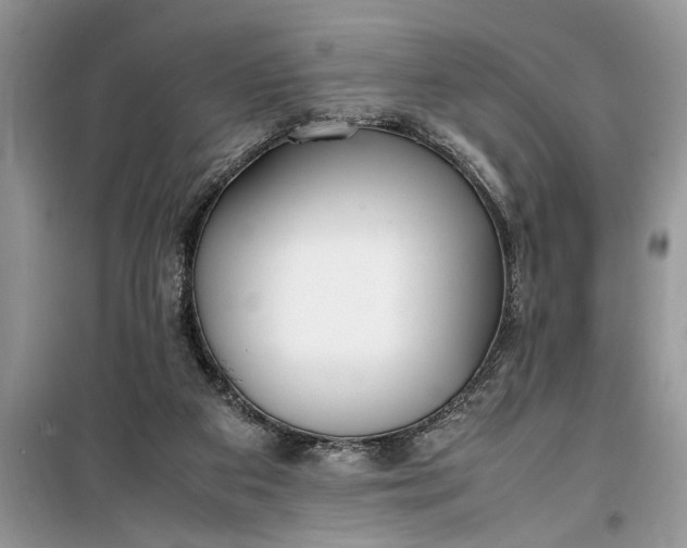 X0000099510113200805291158