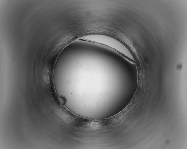 X0000099510114200805291158