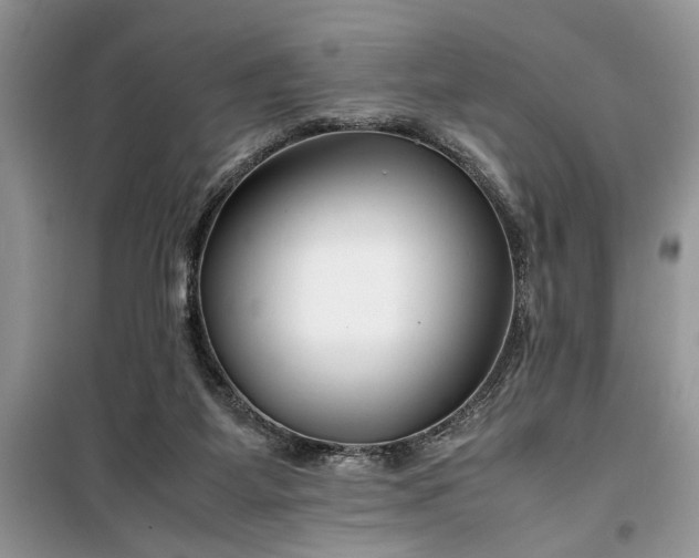 X0000099510115200805291158