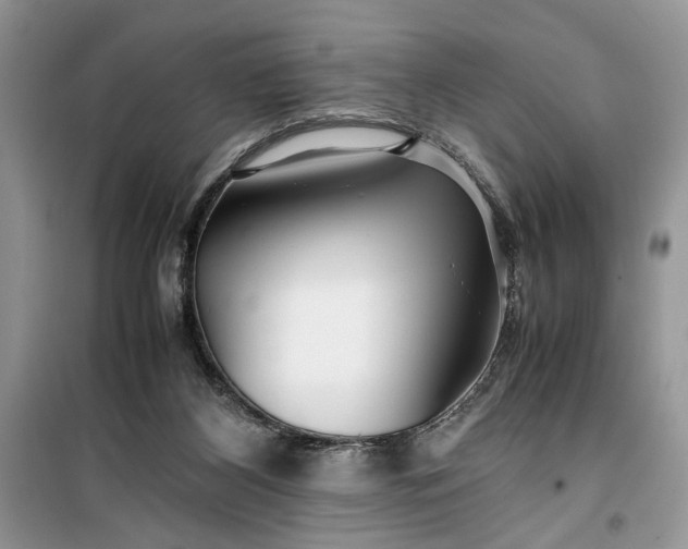 X0000099510116200805291158