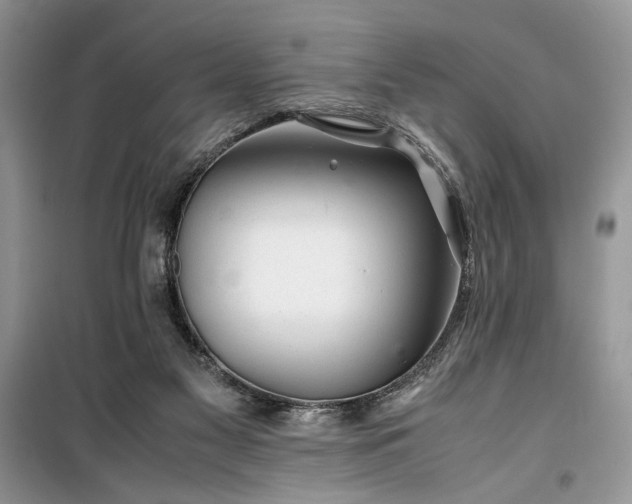 X0000099510117200805291158