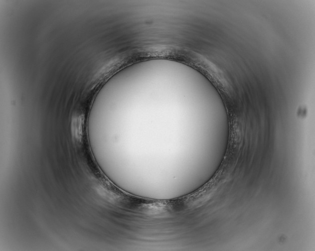 X0000099510118200805291158