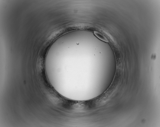 X0000099510119200805291158