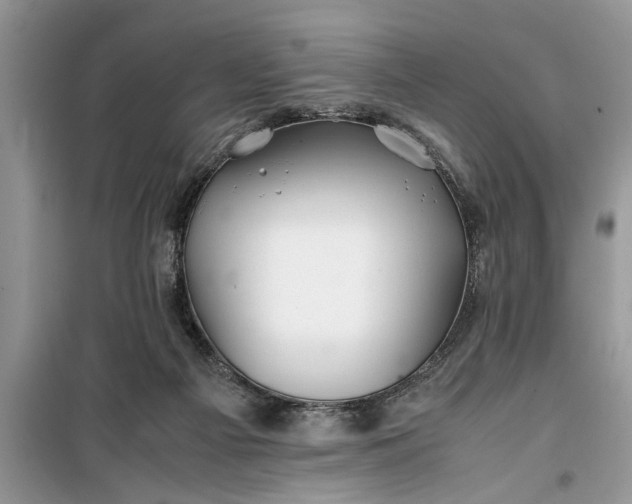 X0000099510121200805291158