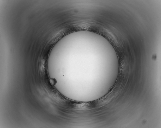 X0000099510122200805291158