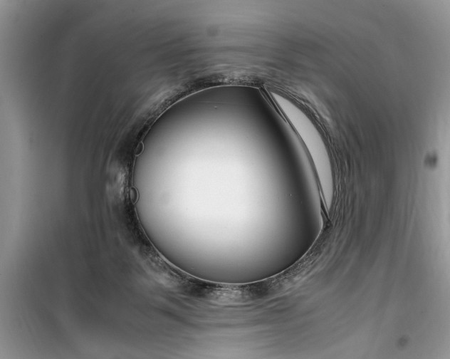 X0000099510123200805291158