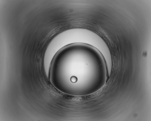 X0000099510124200805291158