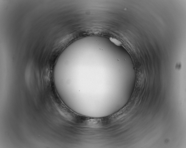 X0000099510126200805291158