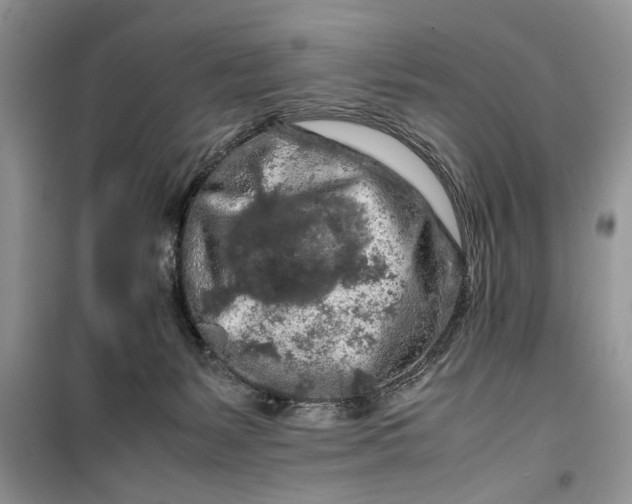 X0000099510127200805291158