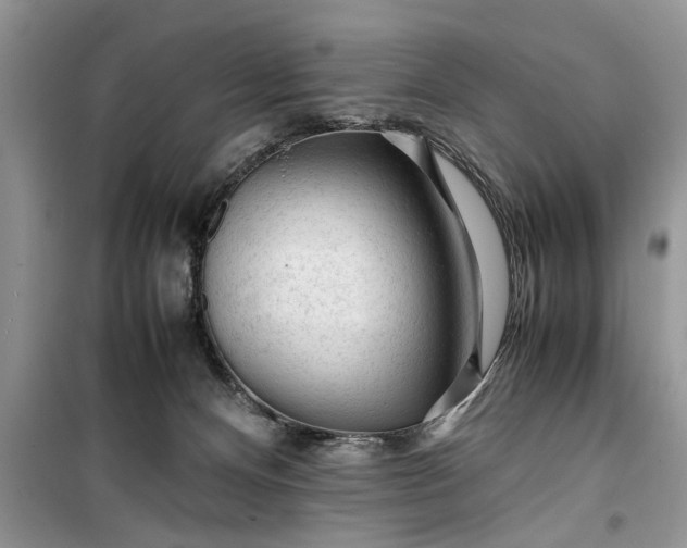 X0000099510128200805291158