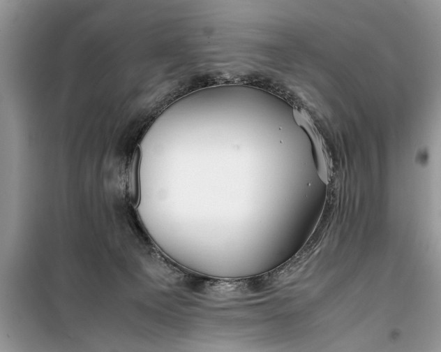 X0000099510129200805291158