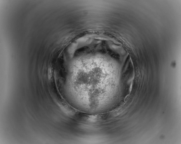 X0000099510130200805291158