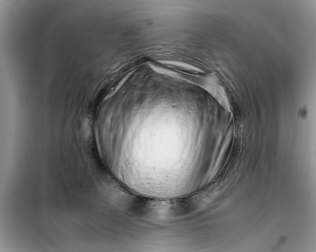 X0000099510131200805291158