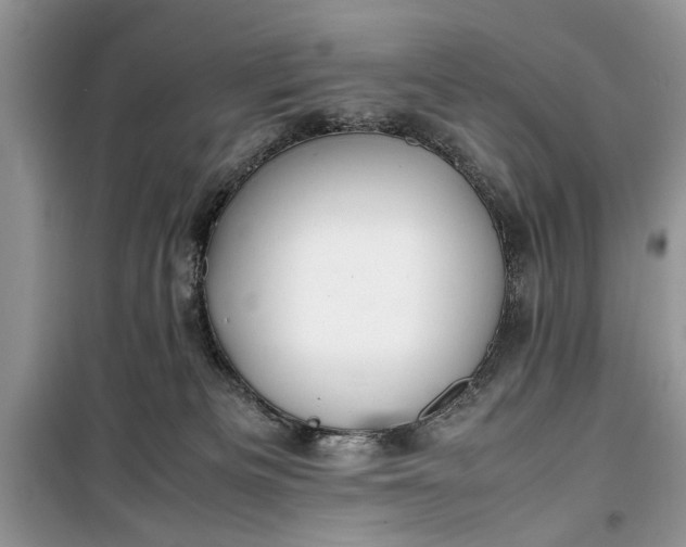 X0000099510133200805291158