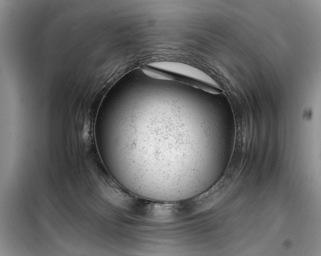 X0000099510134200805291158