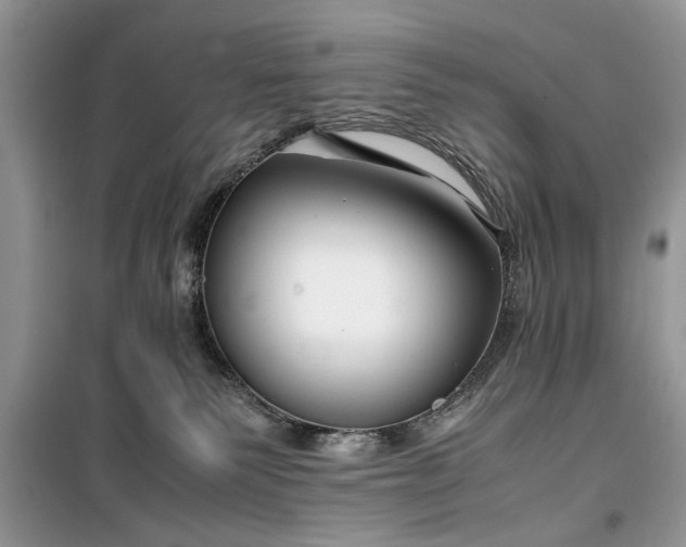 X0000099510135200805291158