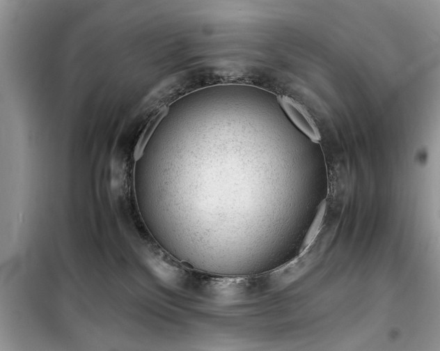 X0000099510136200805291158