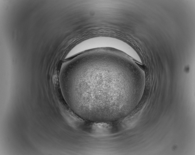 X0000099510137200805291158