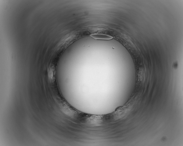 X0000099510138200805291158