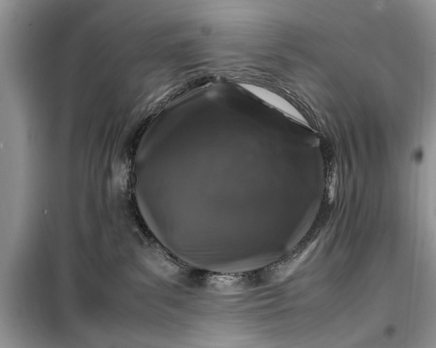 X0000099510139200805291158