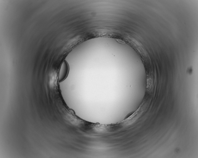 X0000099510142200805291157