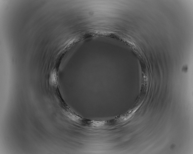 X0000099510143200805291157