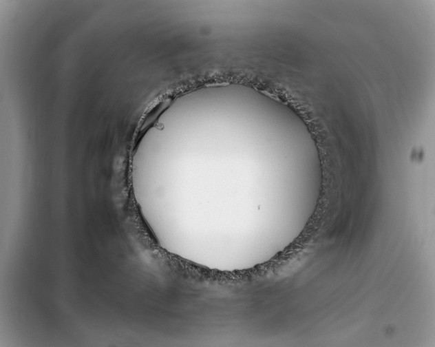 X0000099510144200805291157