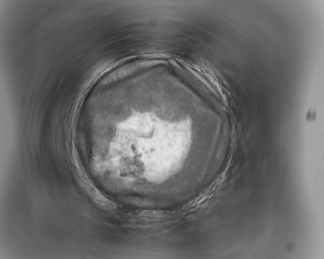 X0000099510145200805291157