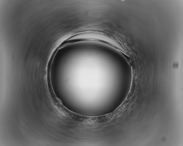 X0000099510148200805291157