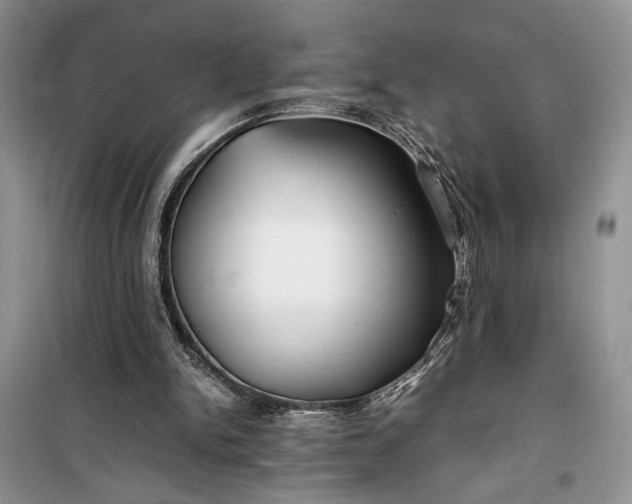 X0000099510150200805291157