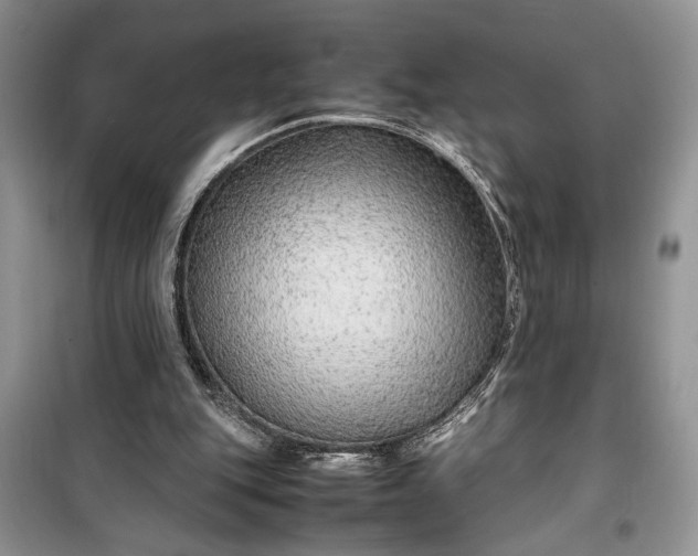 X0000099510151200805291157