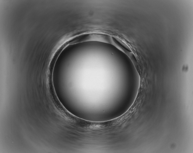 X0000099510152200805291157