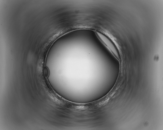 X0000099510153200805291157