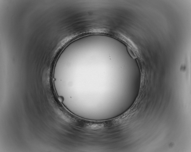 X0000099510155200805291157