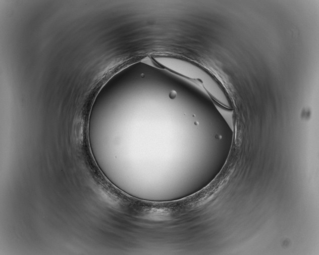 X0000099510157200805291157