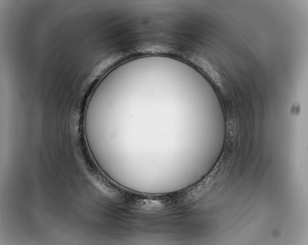 X0000099510159200805291157