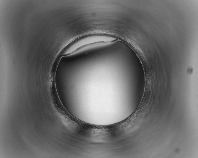 X0000099510160200805291157