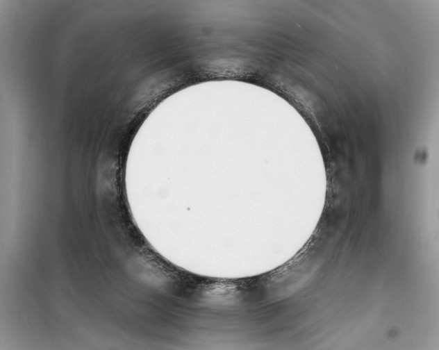 X0000099510162200805291157