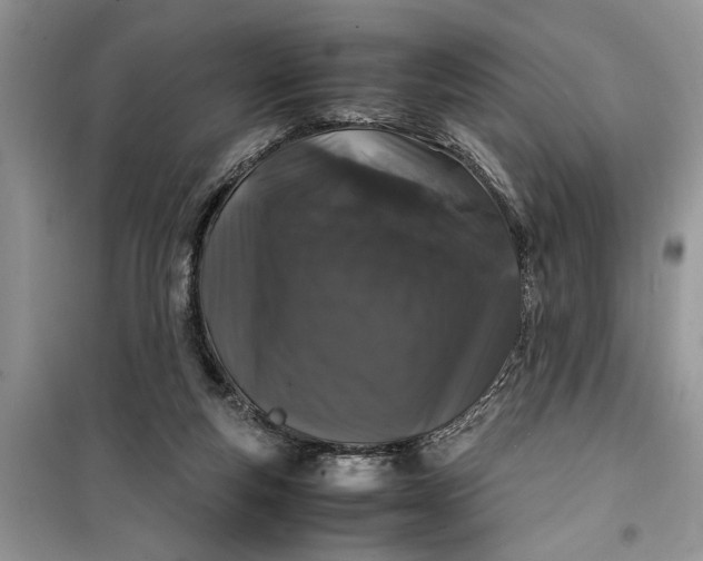 X0000099510163200805291157