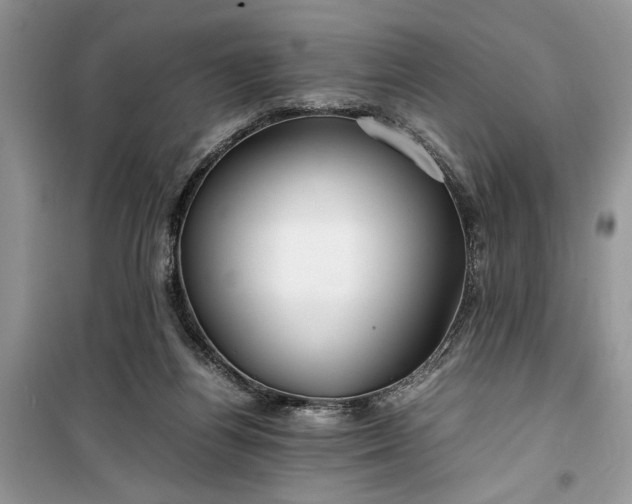 X0000099510164200805291157