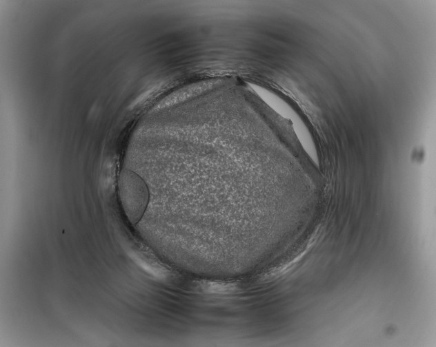 X0000099510165200805291157