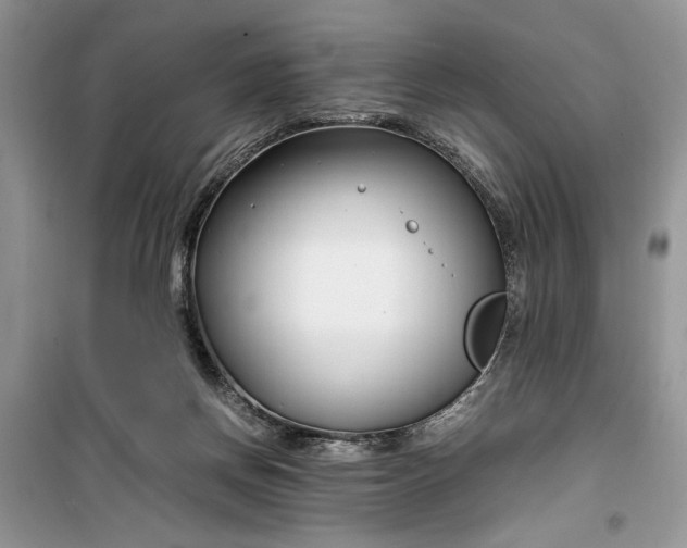 X0000099510166200805291157