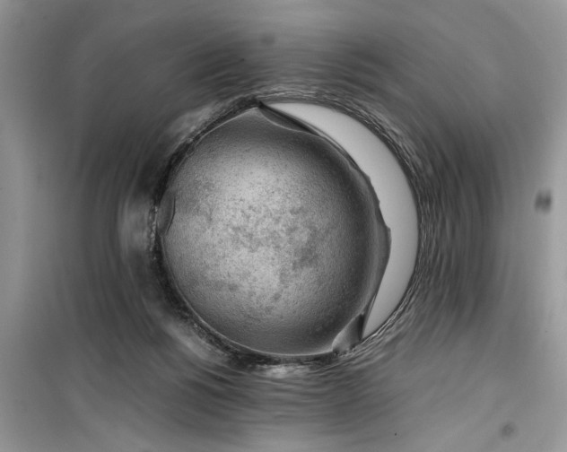 X0000099510168200805291157