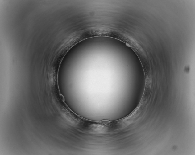 X0000099510170200805291157