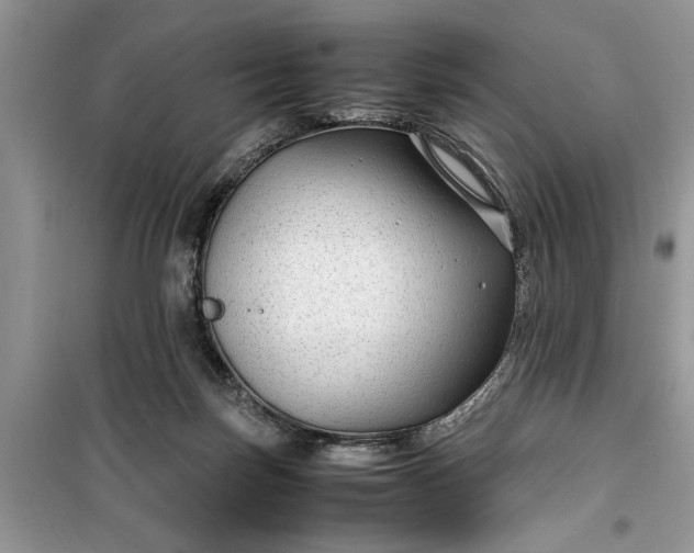 X0000099510171200805291157