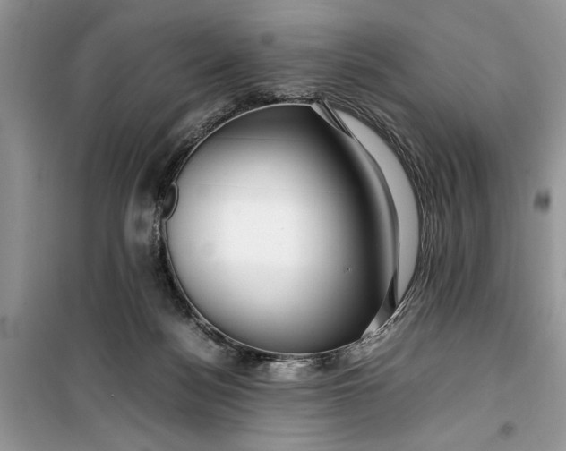 X0000099510172200805291157