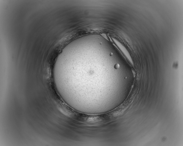 X0000099510173200805291157