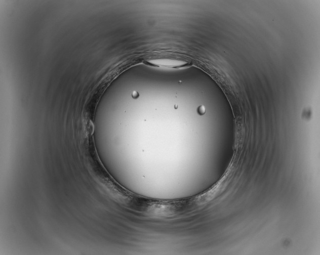 X0000099510174200805291157