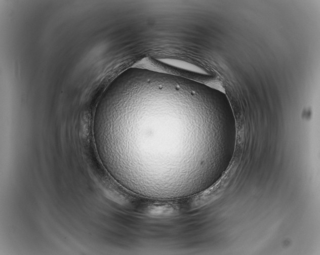 X0000099510175200805291157