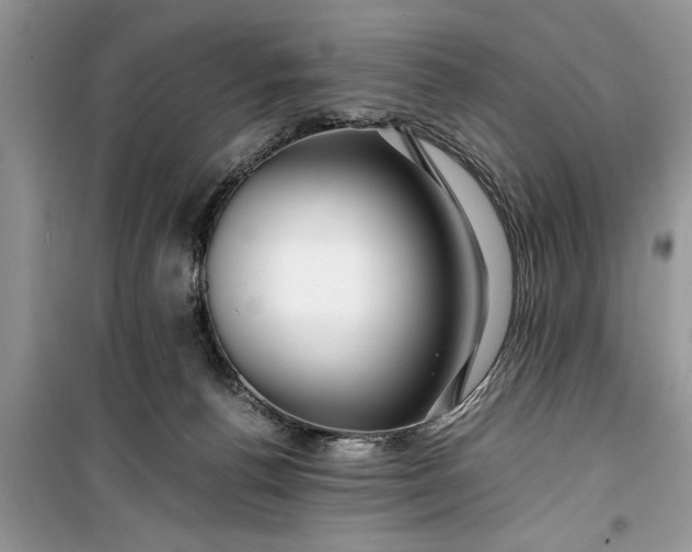 X0000099510176200805291157